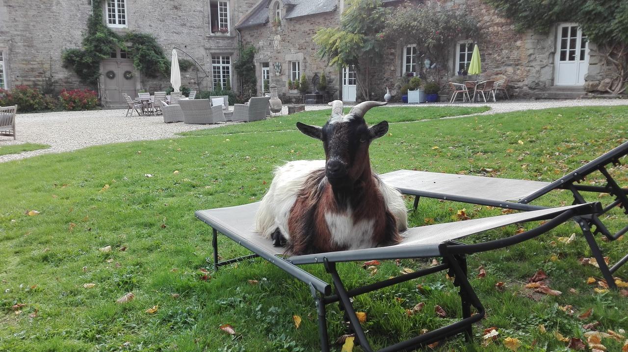 Manoir Du Quengo Bed & Breakfast โครฮ็อง ภายนอก รูปภาพ